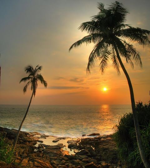 Photo: island in the sun , Sri Lanka by beyer99 
http://www.panoramio.com/photo/47949823