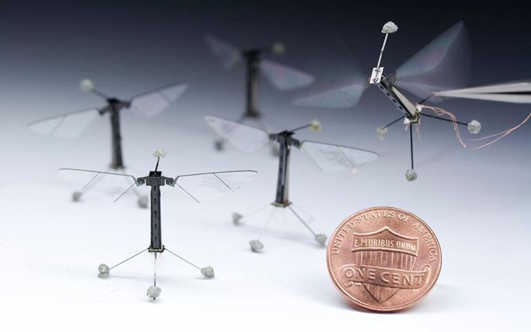 Photo: These tiny, fruit fly-inspired robots weigh only 80 milligrams. 

Watch them fly: http://to.pbs.org/Zsr7kI