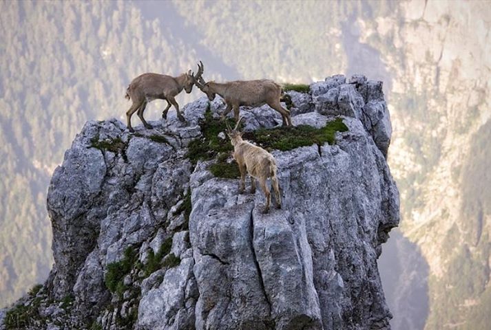 Photo: Rocky Mountain National Park