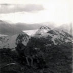scouts incl Curly