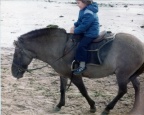 Paul on horseback